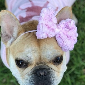 Baby Pink Puppy Bow - French Bulldog Accessories - Puppy Bow Headband - Bulldogs & Bows