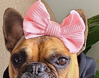 Soft Textured Baby Pink Puppy Bow - French Bulldog Accessories - Bulldogs & Bows