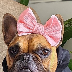 Soft Textured Baby Pink Puppy Bow - French Bulldog Accessories - Bulldogs & Bows