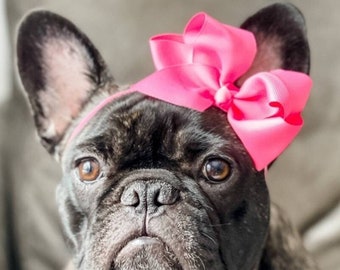 The Perfect Pink Dog Bow - French Bulldog Accessories - Bulldogs & Bows