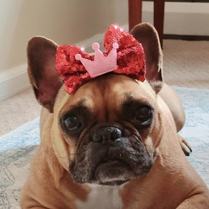 Rosey Red Bow and Pink Crown Puppy Bow - Adorable Headbands for Dogs - Bulldogs & Bows