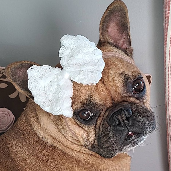 Pure White Puppy Bow - Sweet Dog Accessories - Puppy Bow Headband - Bulldogs & Bows