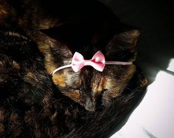 Download Bows For Cats Etsy