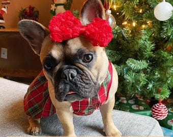 Big Red French Bulldog Bow - Adorable Puppy Headbands - Bulldogs & Bows