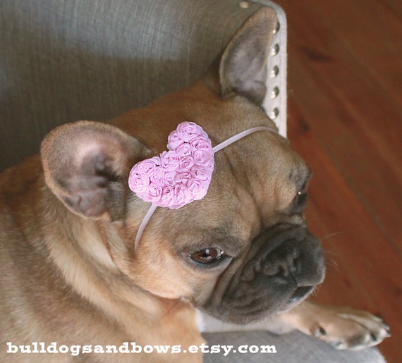 Puppy Heart Headband Pink Heart Bow for Dogs, Pets Valentine's