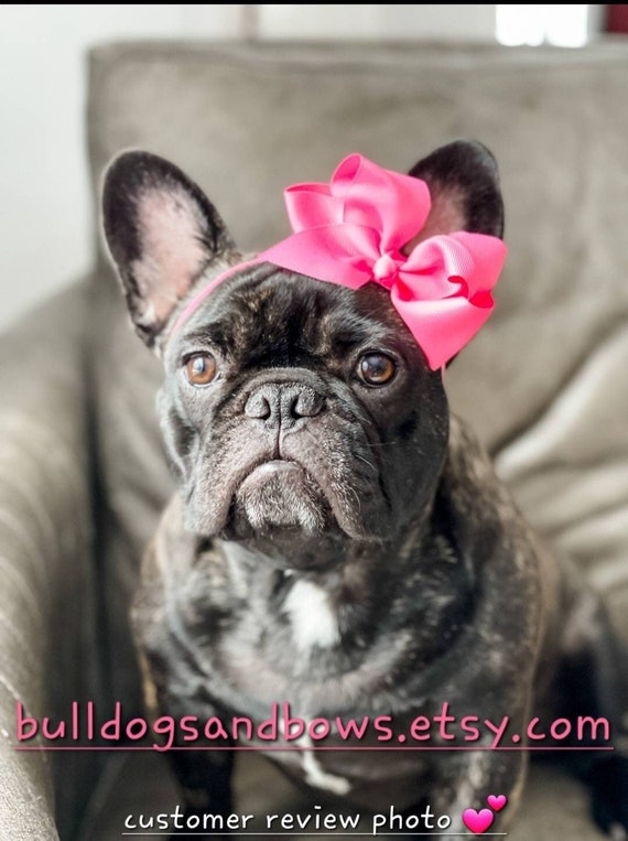 Pink Bows For Dogs, Pink Dog Bows