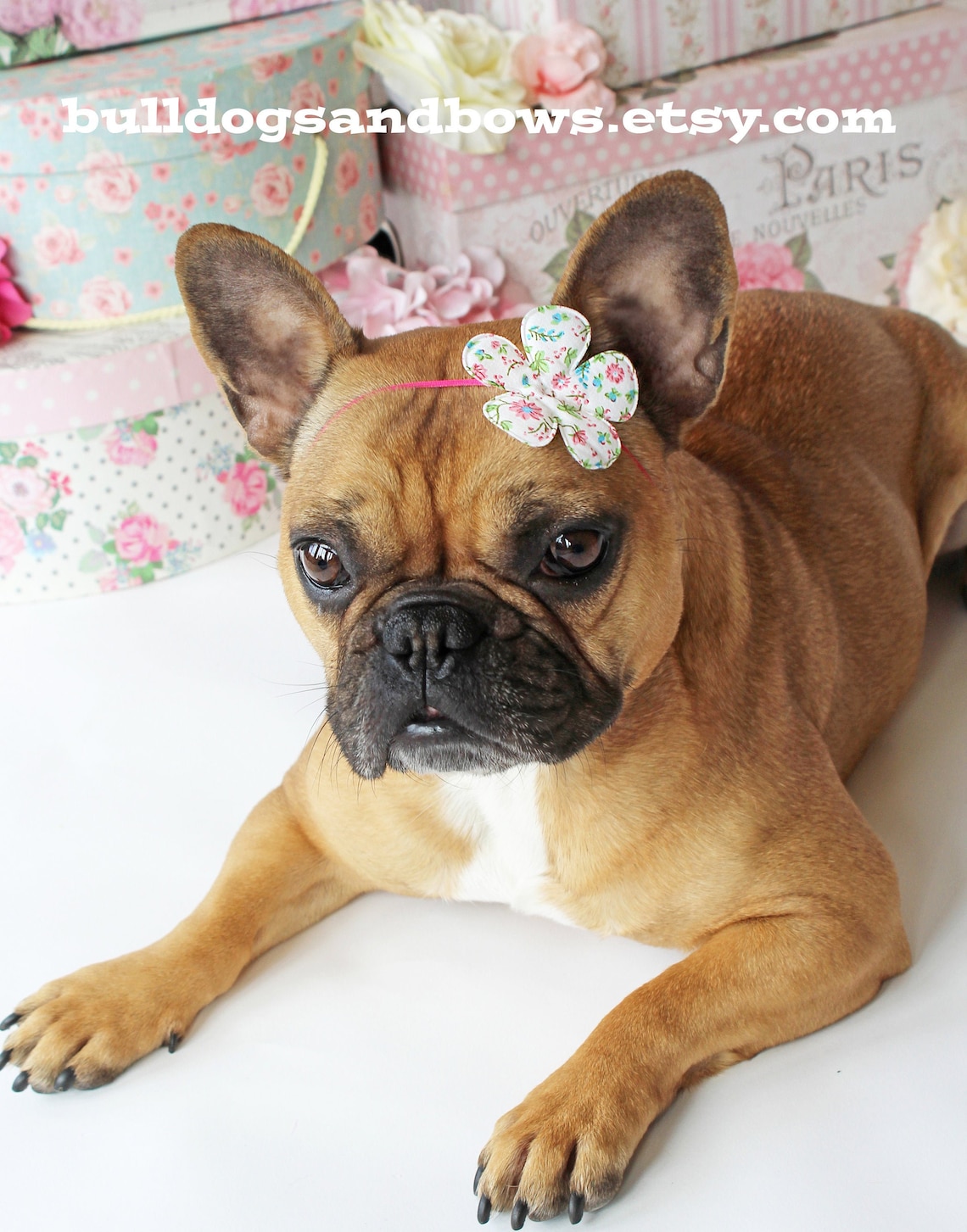 Sweet Daisy Puppy Headband Floral French Bulldog Bow Etsy