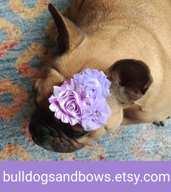 Lush Lavender Flower Puppy Bow- French Bulldog Accessories