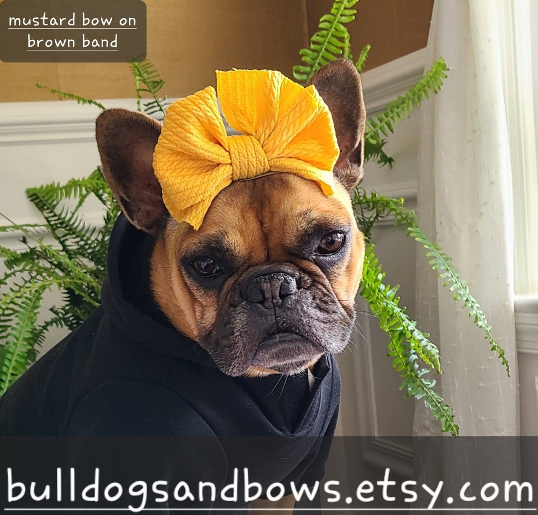 Soft Textured Mustard Yellow Puppy Bow French Bulldog Accessories