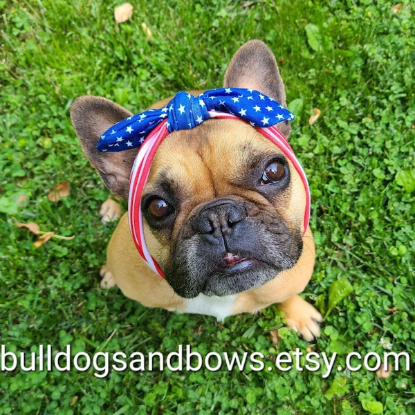 Dog Headband - Etsy