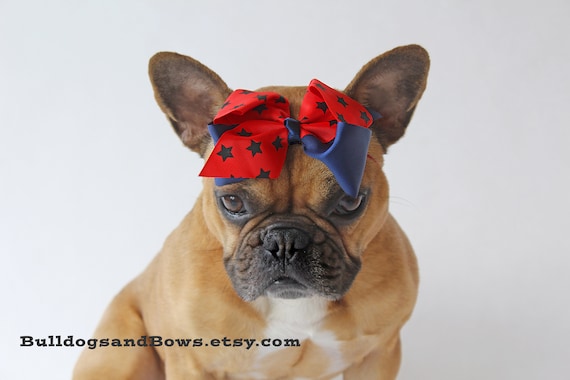 Super Star Red and Navy Dog Bow French Bulldog Accessories