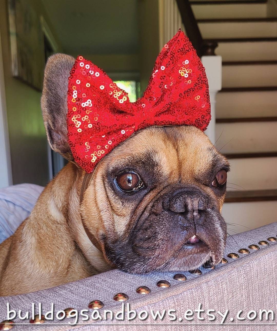 Red Thread Frenchie Big Stand-up Sparkly Red Frenchie Bow - Fun Glittery Sequin Bows for ...
