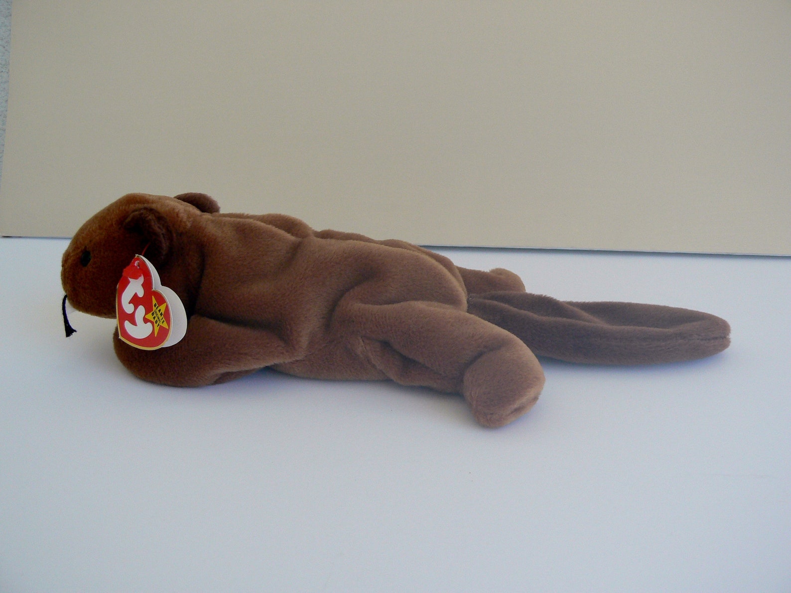 BUCKY the Beaver TY Inc Beanie Babies Collection MINT Etsy