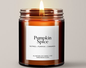 Pumpkin Spice Soy Wax Candle | Fall Candle | All Natural Candle | Candles In Jars | Hello Pumpkin | Scented Candle