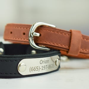 Personalized Leather Dog Collar, Custom Dog Collar with Name Plate, Leather Dog Collar