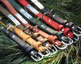 Stylish and durable Leather Personalized Dog Collar