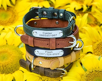 Dog leather collar, leather dog collar, personalized dog collar and leash