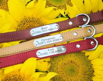 Personalized leather dog collar