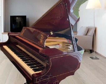 Elize 2011 Ship Xtra, Art 5’ Grand Piano SHOWCASE Heirloom, can move extra