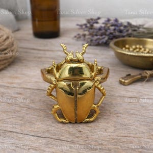 Brass Beetle Ring – Insect Statement Ring – Nature Inspired Boho Jewelry – Handmade Woodland Gothic Ring for Women