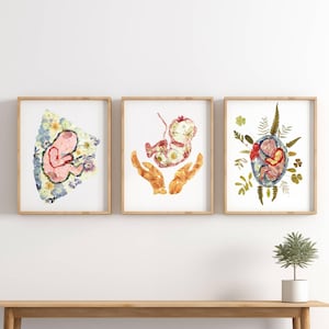 Digital Download - 3er Set Schwangerschaft Wand Kunst Drucke, Baby im Womb, Plazenta Poster, OBGYN Geschenk, Geburtshilfe & Gynäkologie Dekor