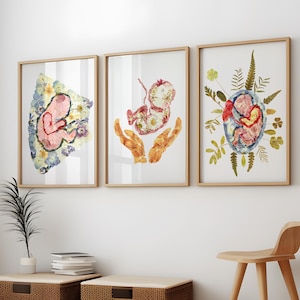 Juego de 3 impresiones de arte de pared para embarazadas, regalo de enfermera obstetra, póster de placenta de bebé en el útero, decoración de pared de ginecología, arte obstetra y ginecólogo, anatomía de mujeres embarazadas