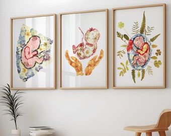 Set van 3 zwangerschap muur kunst verloskunde verpleegkundige cadeau baby in de baarmoeder placenta poster gynaecologie muur decor OBGYN kunst zwangere vrouwen anatomie