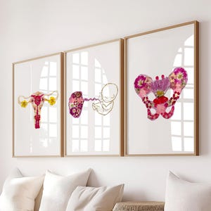 Conjunto de arte de pared para ginecología, impresiones de anatomía botánica para consultorio ginecológico, regalo médico único para médicos, clínicas o decoración de salud femenina.