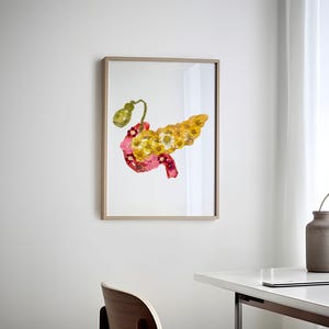 Stampa artistica dell'anatomia del pancreas per endocrinologi, decorazione per studio medico, regalo per dottore, stampa murale del pancreas, illustrazione di organi umani