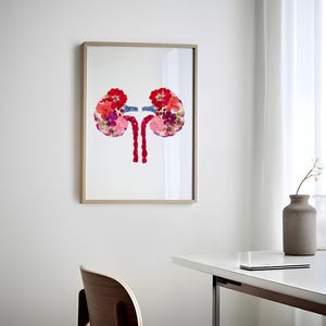 Botanical Kidney Anatomy Print Unique Medical Art Urology Office Decor Perfect Gift for Urologists Health Professionals Medical Offices