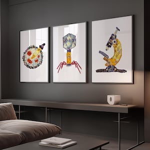 Set di 3 stampe artistiche a tema microbiologico: piastra di Petri, batteriofago, microscopio, decorazione murale.