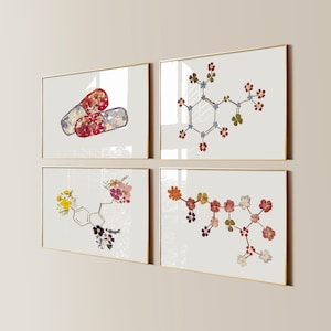 Op de afbeelding: Vier ingelijste kunstprints met bloemmotieven. Eén print toont twee pillencapsules gevuld met rode en paarse bloemen. De andere drie prints tonen moleculaire structuren gemaakt van diverse kleurrijke bloemen.