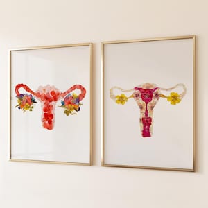 Uterus and Womb Art Print Set Botanical Anatomy Illustration, Female Reproductive System, Medical Wall Art, Unique Gift for Gynecologist