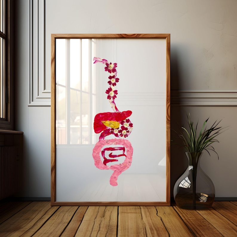 Human Digestive System Art Print – Anatomical Wall Poster, Gift for ...