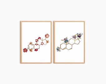 Conjunto de láminas decorativas para el equilibrio hormonal: láminas de estrógeno y testosterona, decoración para el bienestar.