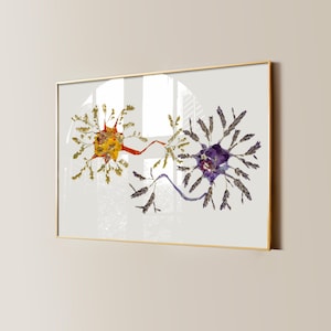 Op de afbeelding: Een ingelijste kunstdruk met twee abstracte bloemstukken. Eén is geel en oranje, de andere is paars. Beide hebben verbindende rode en paarse stelen, tegen een witte achtergrond en omlijst in goud.
