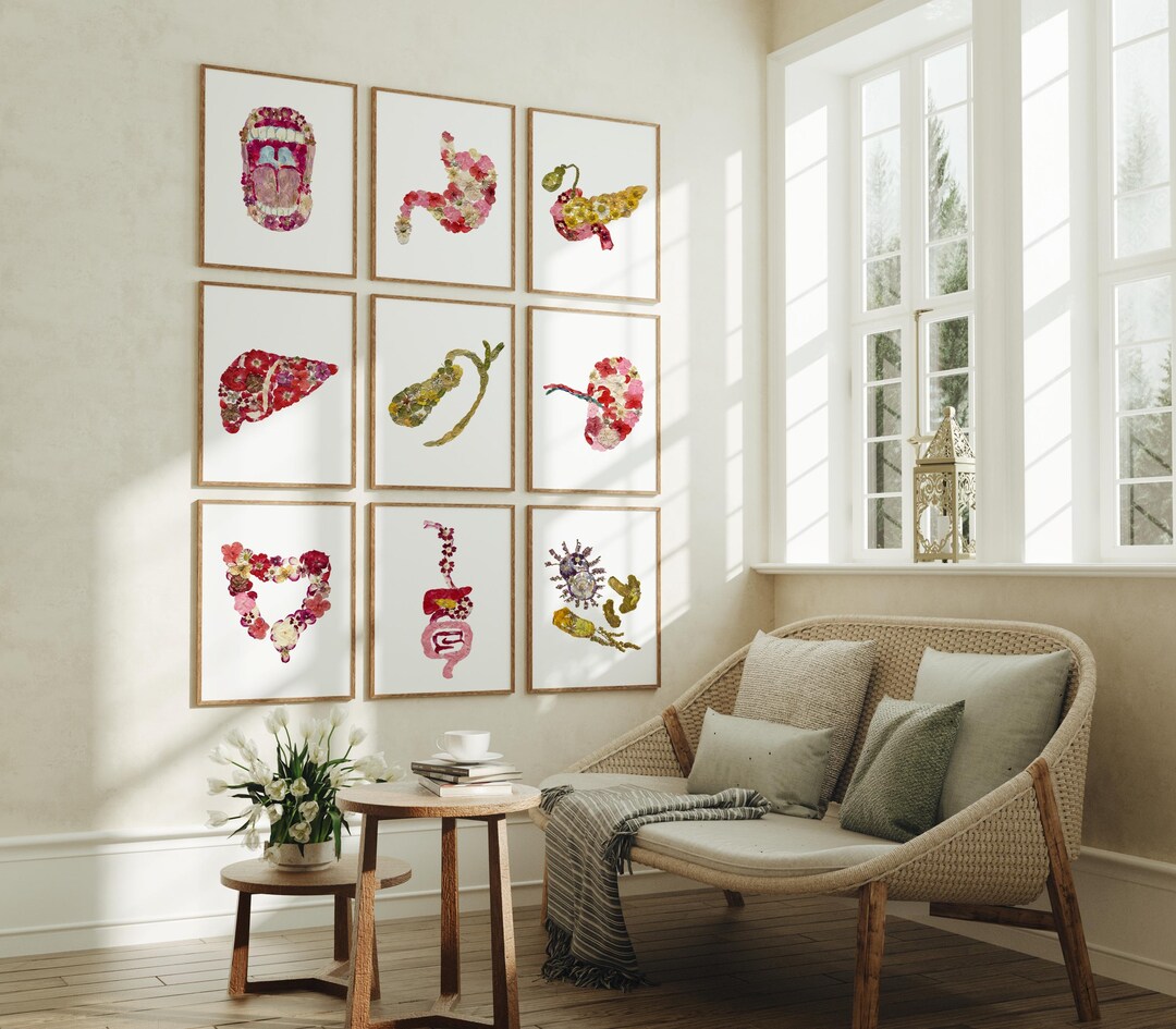 Digestive System Wall Art Set, Gastroenterology Anatomy Prints, GI ...