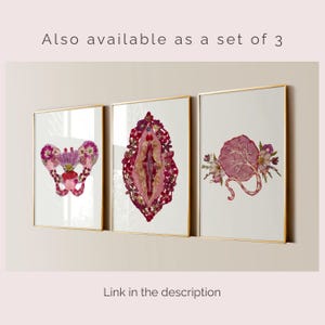 K&ouml;nnte beinhalten: Drei gerahmte Wandbilder mit Goldrahmen, die anatomische Illustrationen aus gepressten rosa und roten Blumen zeigen. Der Text "Also available as a set of 3" und "Link in the description" ist an der Wand sichtbar.