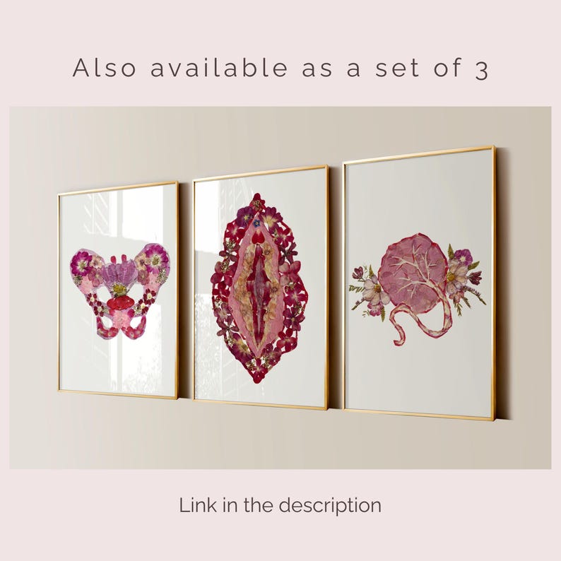 K&ouml;nnte beinhalten: Drei gerahmte Wandbilder mit Goldrahmen, die anatomische Illustrationen aus gepressten rosa und roten Blumen zeigen. Der Text "Also available as a set of 3" und "Link in the description" ist an der Wand sichtbar.
