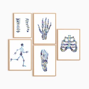Set di 5 stampe di radiologia - Arte murale di anatomia medica per studio radiologico, regalo per medici, poster in stile radiografico
