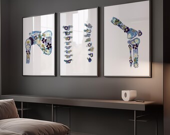 Anatomy Wall Art Set of 3 – Spine Knee Shoulder Prints for Orthopedic Clinic