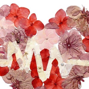 Floral Medical Wall Art Set of 3 – Anatomy Prints, Nurse Clinic Decor image 9