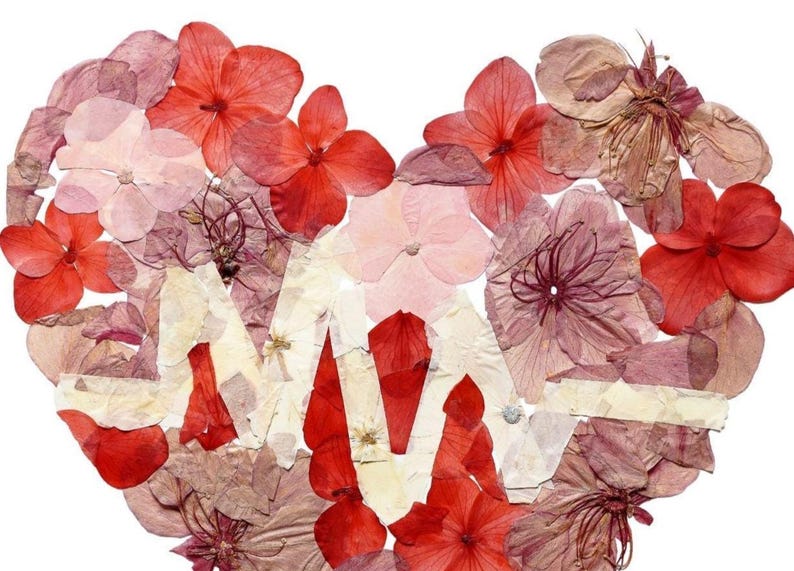 Floral Medical Wall Art Set of 3 – Anatomy Prints, Nurse Clinic Decor image 9