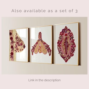 K&ouml;nnte beinhalten: Drei gerahmte Wandbilder mit anatomischen Formen aus gepressten Trockenblumen in Rosa-, Rot- und Cremet&ouml;nen. Die Kunstwerke zeigen eine Brust, eine Klitoris und eine Vulva, die jeweils mit zarten Blumenarrangements nachgezeichnet sind.