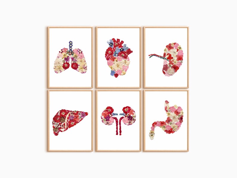 Floral Anatomy Wall Art Set of 6, Human Organs Prints, Medical Clinic ...
