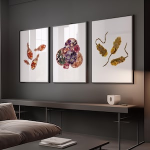 Set di 3 stampe da parete a tema malattie infettive raffiguranti i batteri Clostridium, Pseudomonas aeruginosa e Staphylococcus. Decorazione a tema microbiologia.