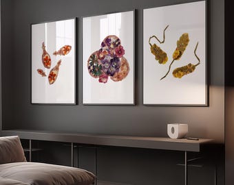 Juego de 3 láminas decorativas para pared con temática de enfermedades infecciosas: Clostridium, Pseudomonas aeruginosa y Staphylococcus. Decoración de microbiología.