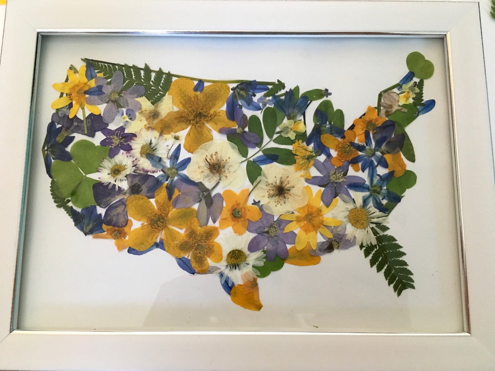 USA map in frame United states of America Real pressed | Etsy