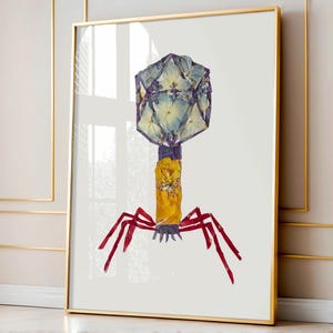 Op de afbeelding: Een ingelijste kunstdruk met een illustratie van een bacteriofaag samengesteld uit geperste bloemen. De kop bestaat uit lichtblauwe bloemblaadjes, de centrale huls is geel en de zes dunne poten zijn donkerrood op een witte achtergrond.
