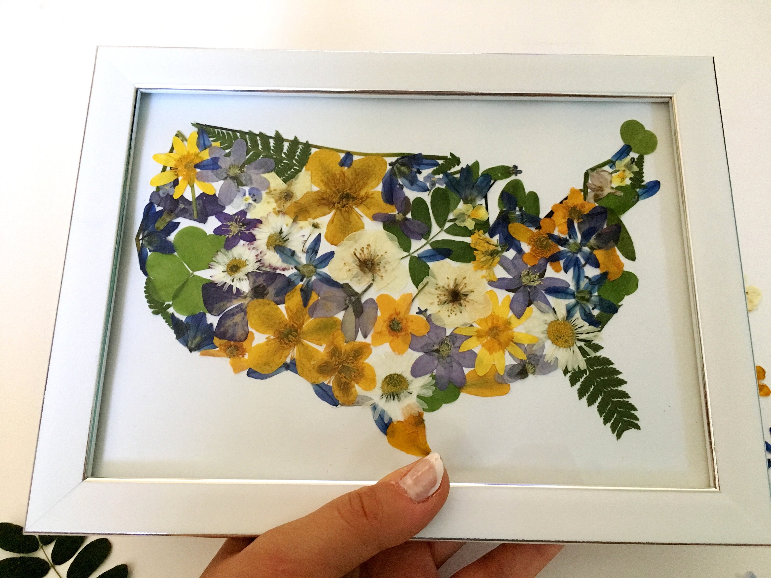 USA map in frame United states of America Real pressed | Etsy